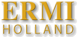 Logo ERMI